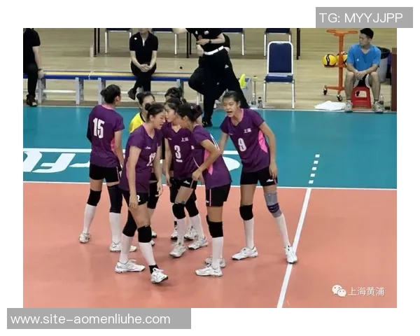 上海排球队比赛经验分析与表现评估探讨