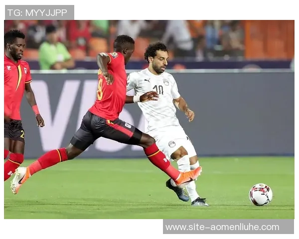 尼日尔足球队迎战埃及队期待精彩对决与历史交锋的精彩瞬间